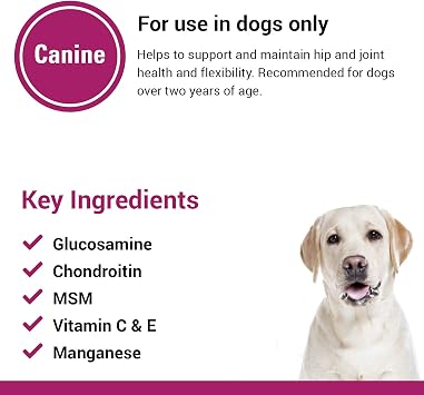 Vet Classics GCM Plus Hip & Joint Support Dog Supplement Includes MSM, Chondroitin, Glucosamine Supports Healthy Joints, Flexible Hips in Dogs Chewable Tablets 120 Ct.