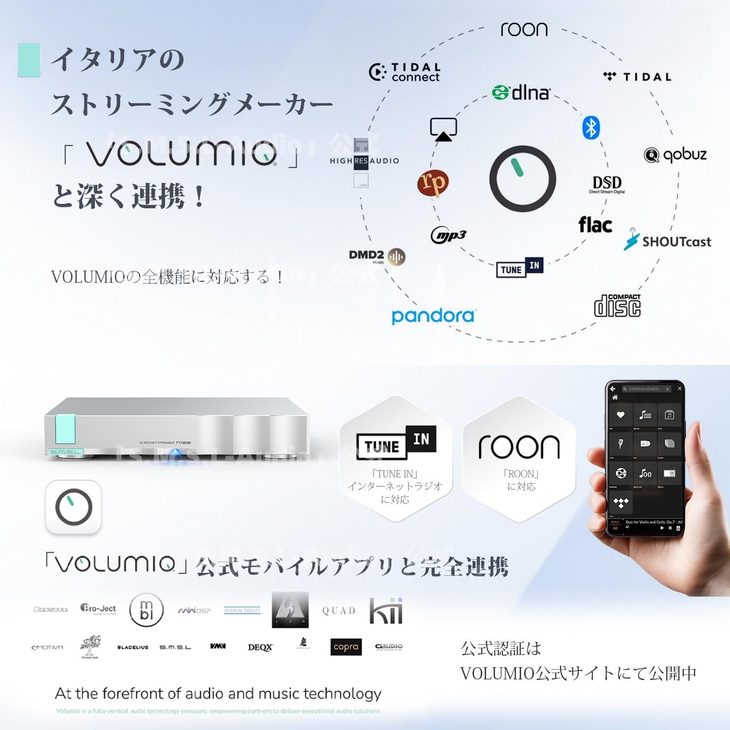 Amazon.co.jp: S.M.S.L N100 ネットワークオーディオプレーヤー Wi-Fi 