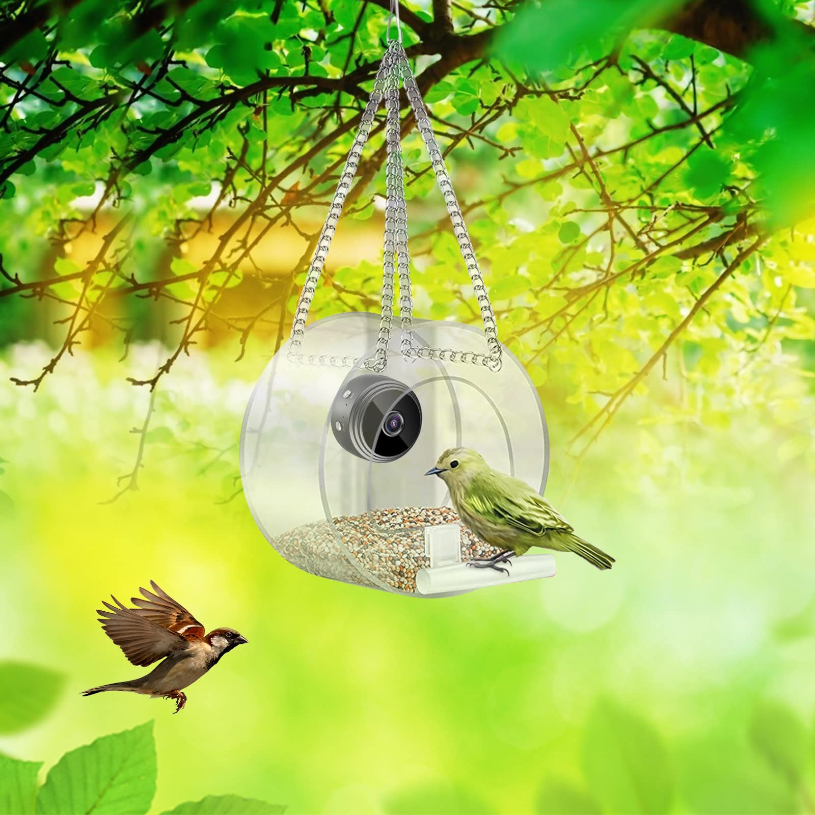 10 Best Bird Houses for Sale Top 10 Picks Hummingbirds Plus