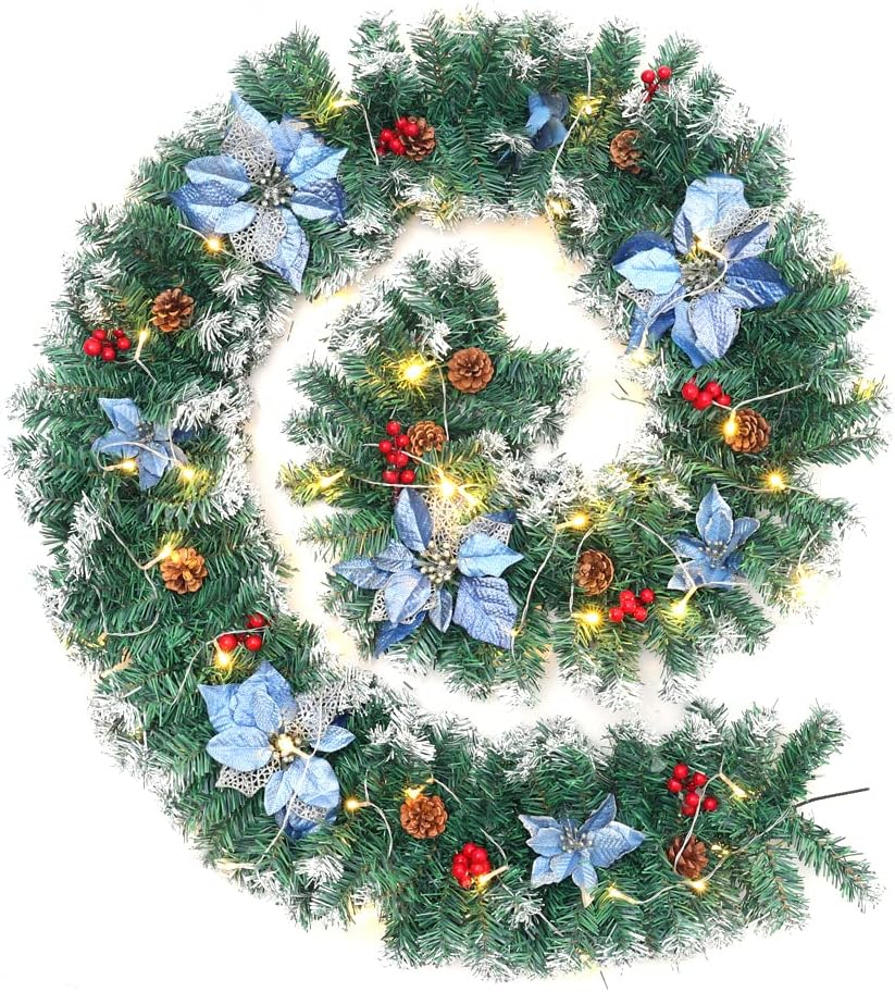 Close-up image of the clear plastic battery box for the LED string lights, showing the compartment for batteries.