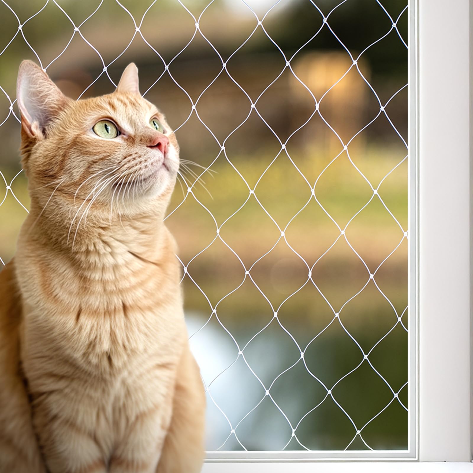 Sponsored Ad – lionto Balcony safety net for securing cats, cat protection net made of transparent nylon, 3x4 m, weatherproof cat net for mounting without drilling, mounting material & instructions included