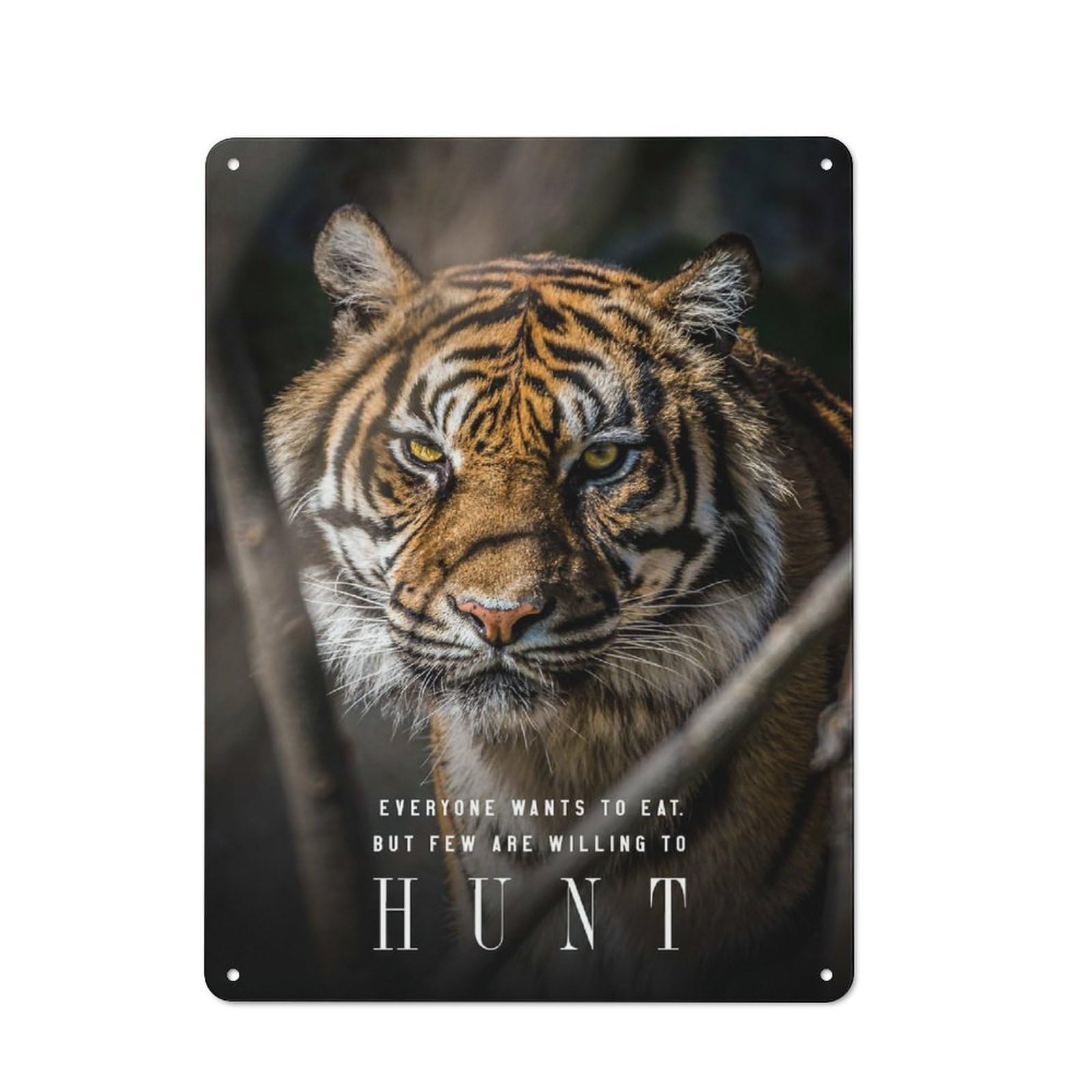 Junmoney Style-11 Tin Wall Plaque 40X30cm With Few Are Willing To Hunt For Workshop Wall, With Clear Retro Wall Decor Character