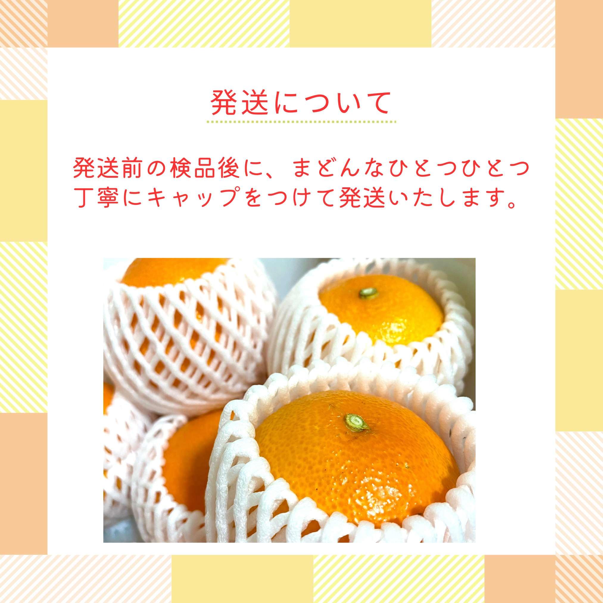 Amazon.co.jp: 紅まどんな 紅マドンナ ギフト お歳暮 みかん 愛媛県産