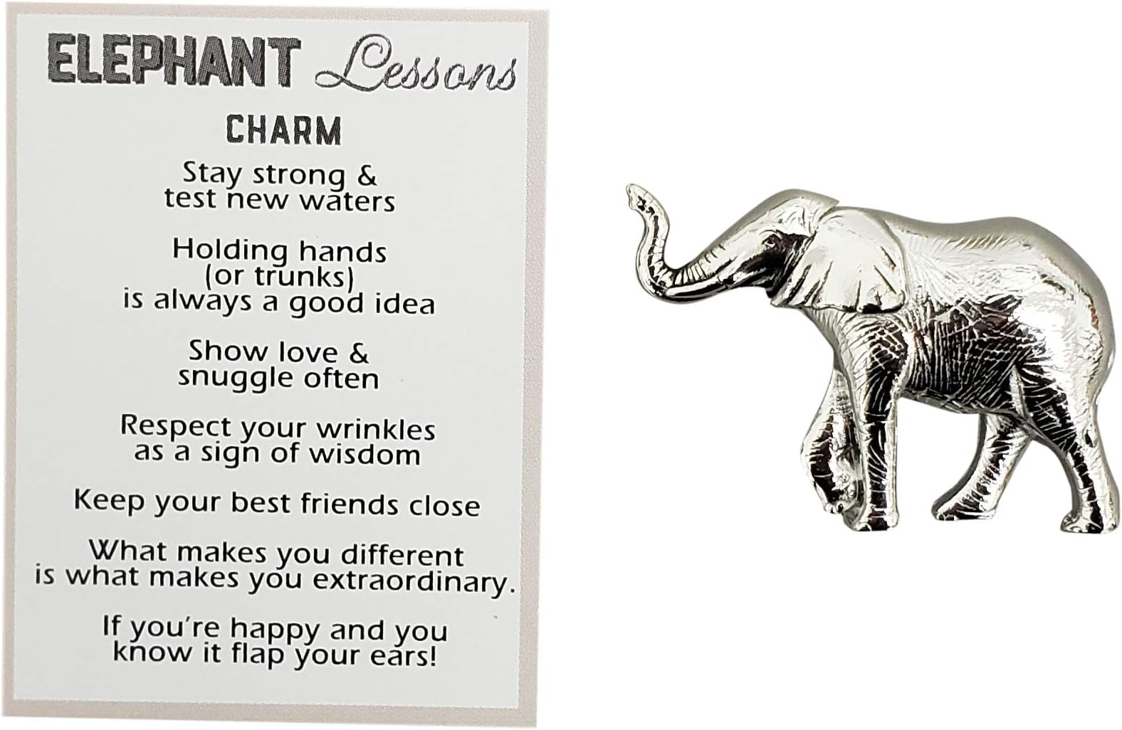 Ganz Stay Strong Life Lessons Elephant Pocket Charm Token with Story Card