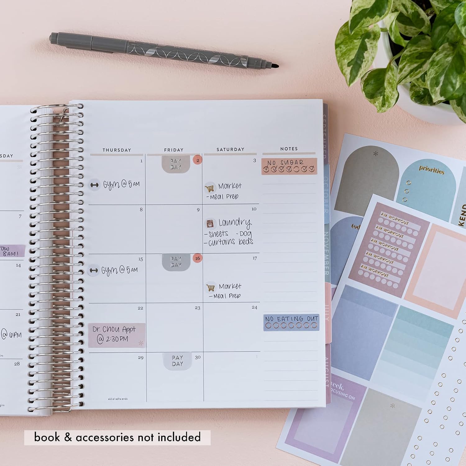 Pastel Functional Planner Sticker Book - Pastel. Over 600 Functional and Elegant Stickers for Customizing Planners, Notebooks and More. Includes 12 Mixed Metallic Sticker Sheets by Erin Condren.