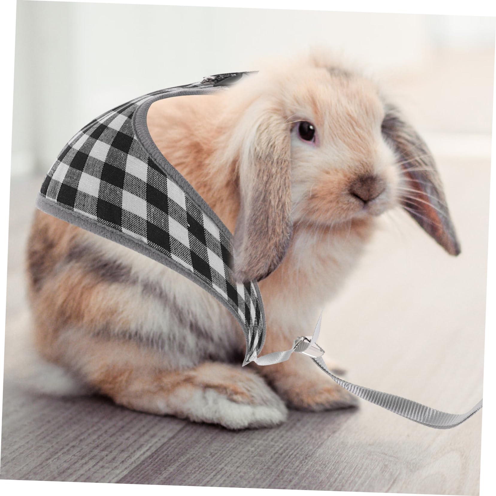 BESPORTBLE 5sätze Kleintiere Einstellbares Kaninchengeschirr Mit Leine Süßes Bunny Kostüm Für Haustiere Für Und Fotos