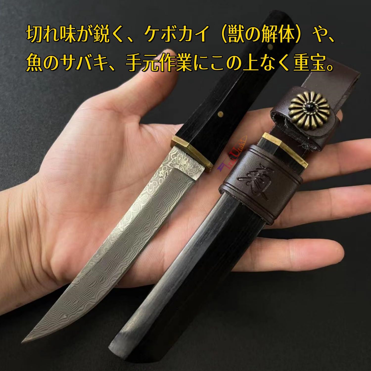 Amazon.co.jp: Irai Utaki キャンプナイフ 和式ナイフ【菊本武士Ⅱ 