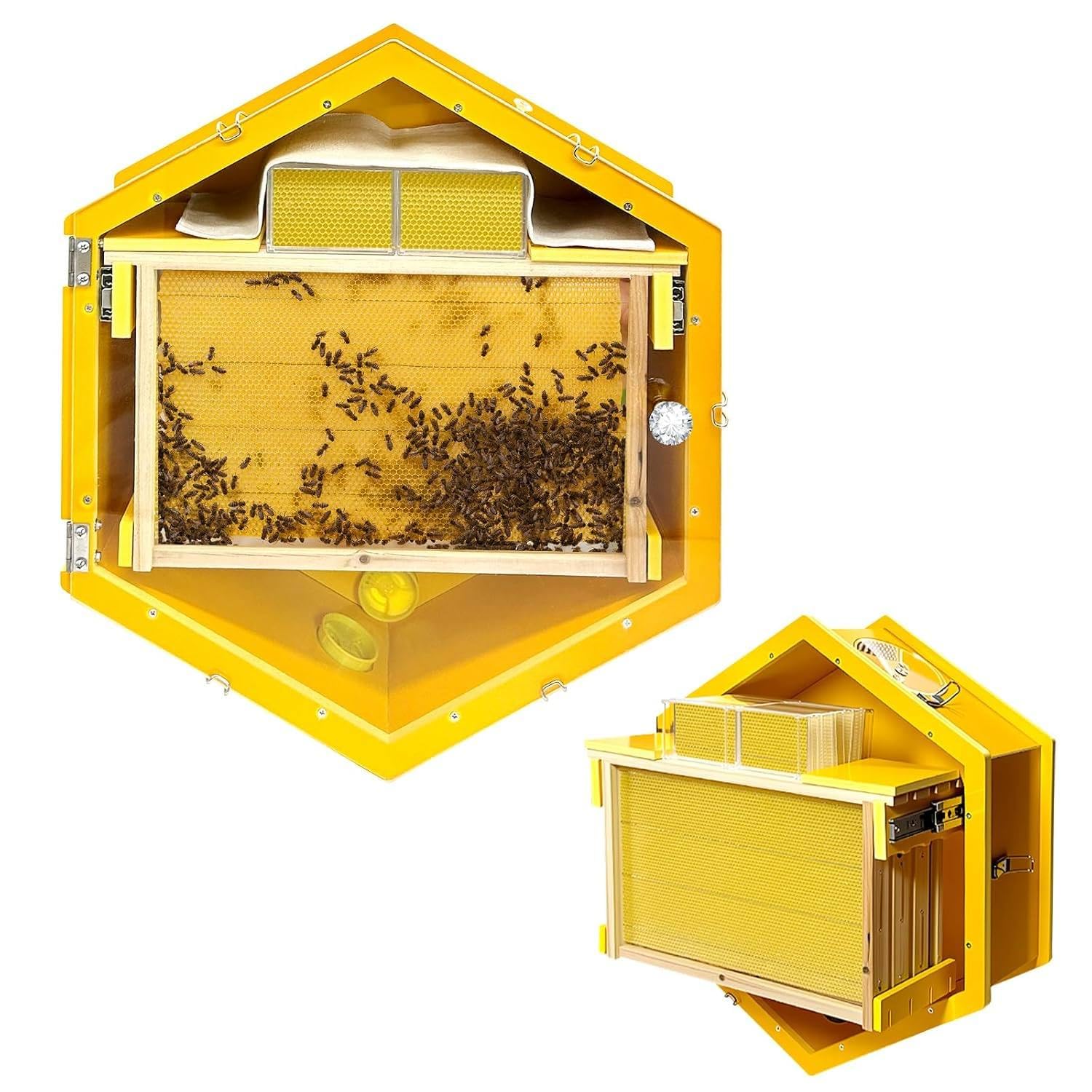 Colmena con ventanas de observación para criar abejas en casa