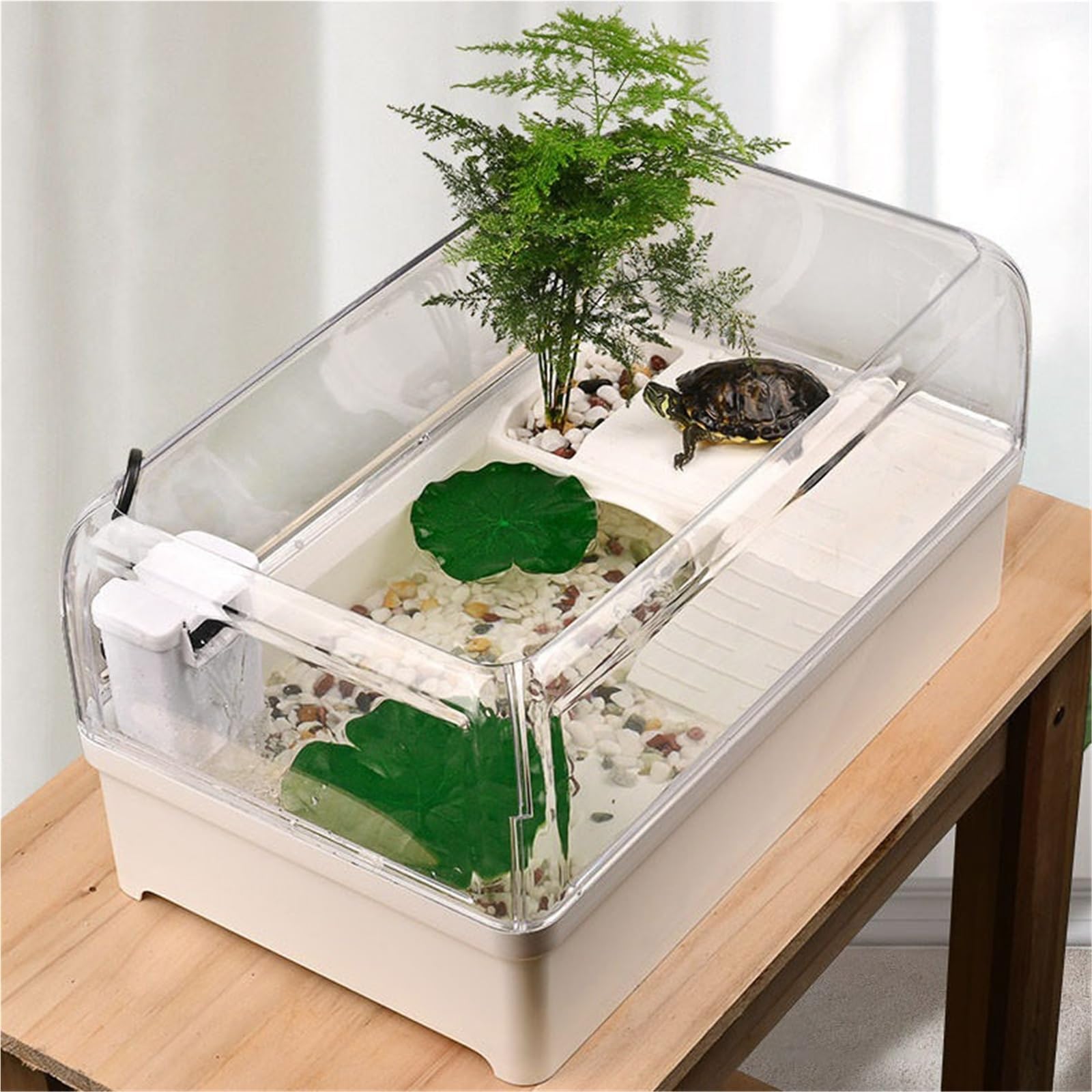 Siedlisko terrarium Zbiornik do karmienia żółwi białych z platformą suszenia na słońcu hodowli Terrarium akwariowe