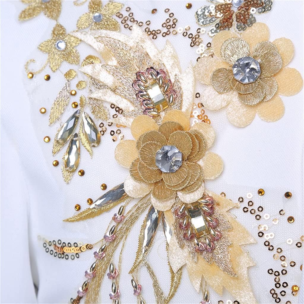 Chinese Tunic Suit Men's Applique Sequin Embroidery Costume Dress Costume Costume(Medium)