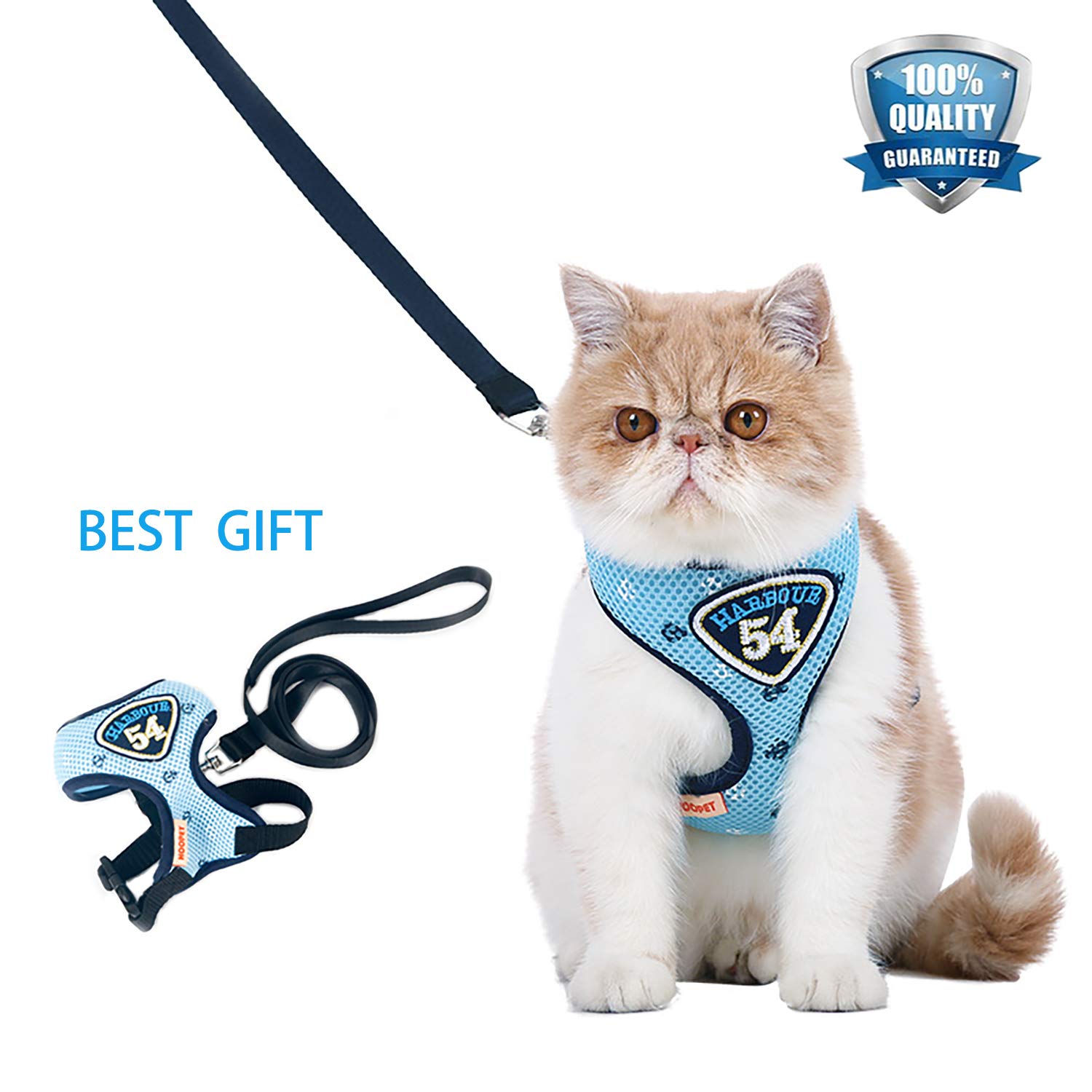 kitten walking harness