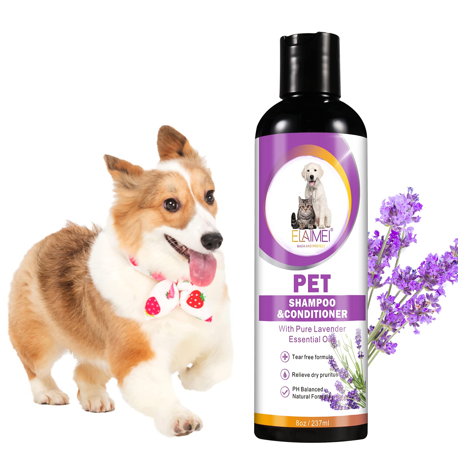 Can Lavender Essential Oil Hurt Dogs