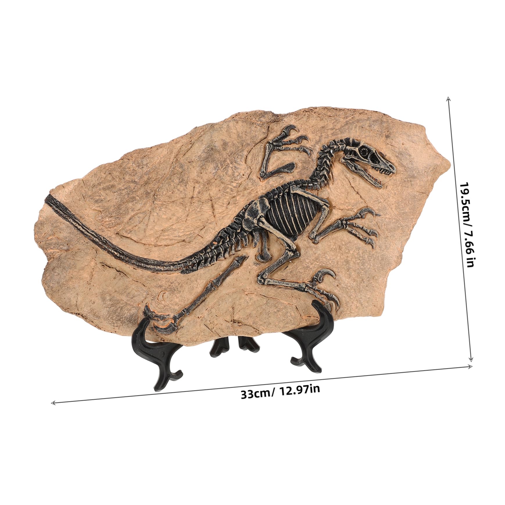 Set Di Ornamenti Fossili Di Dinosauro Di Fossili Di Dinosauro Decorazione Esemplare Per Casa Ufficio
