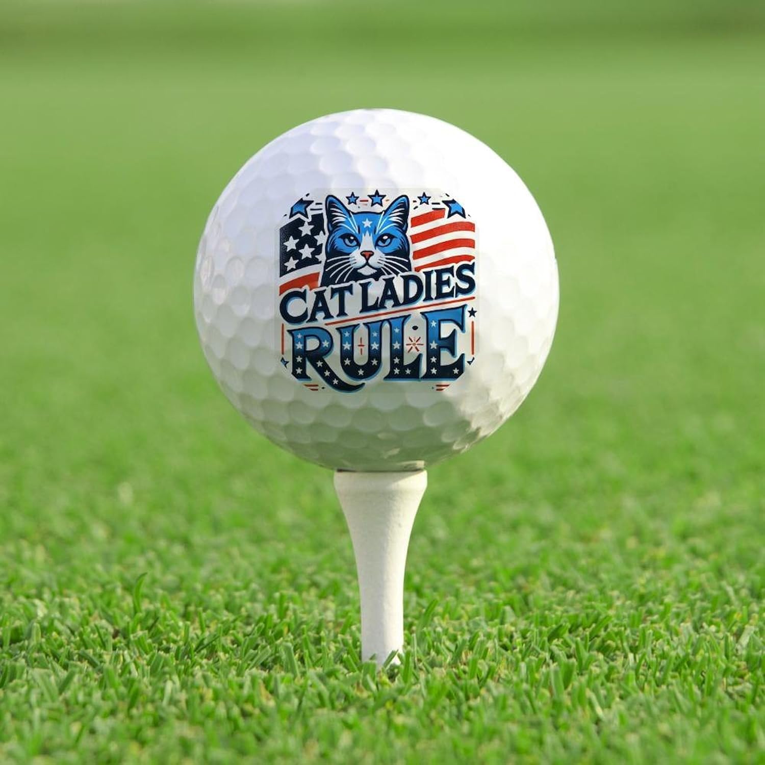 CafePress Cat Ladies Rule Novelty Golf Balls (Pk of 12)
