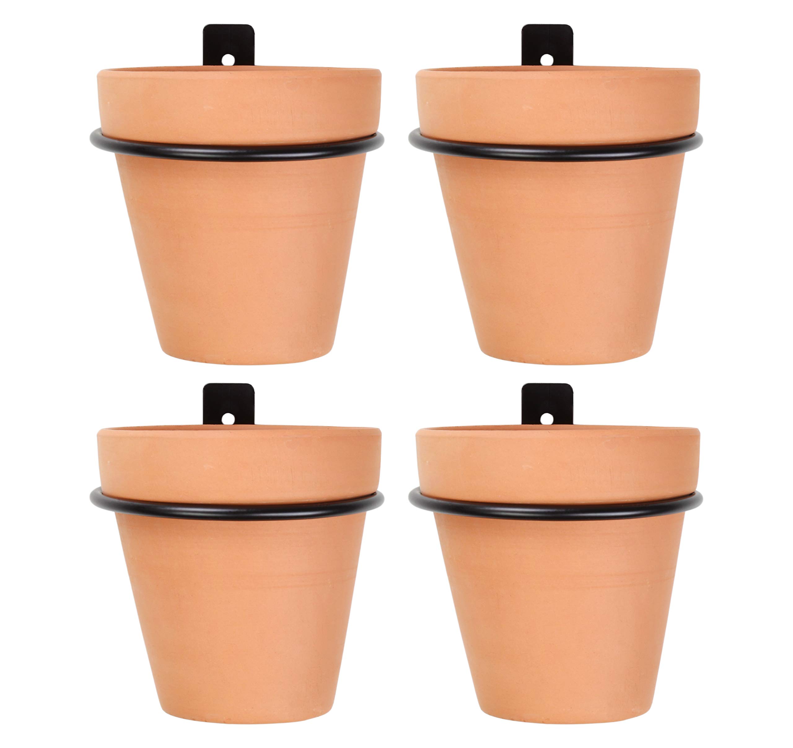 Buy Darware Metal Wall Ring ers with Pots (4Pack, 8Piece Set); Wall