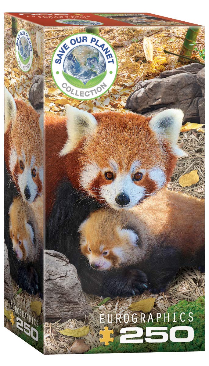 EUROGRAPHICS PUZZLE 250 RED PANDAS