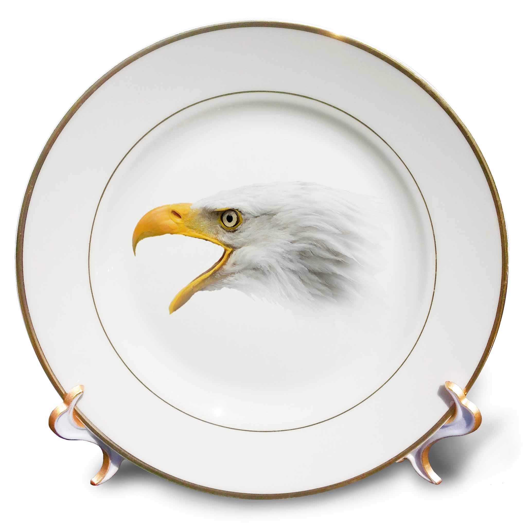3dRose Head of a bald eagle. American patriotic symbol. White background, 8-Inch
