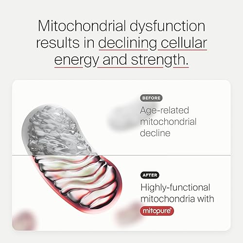 Miniatura 4 de Timeline Mitopure Urolitina A Suplemento en polvo 500 mg - Soporte clínicamente probado para un envejecimiento saludable y renovación celular -