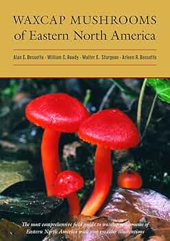 洋書 Mushrooms 71B7Q-11FOL._UF350,350_QL50_.jpg