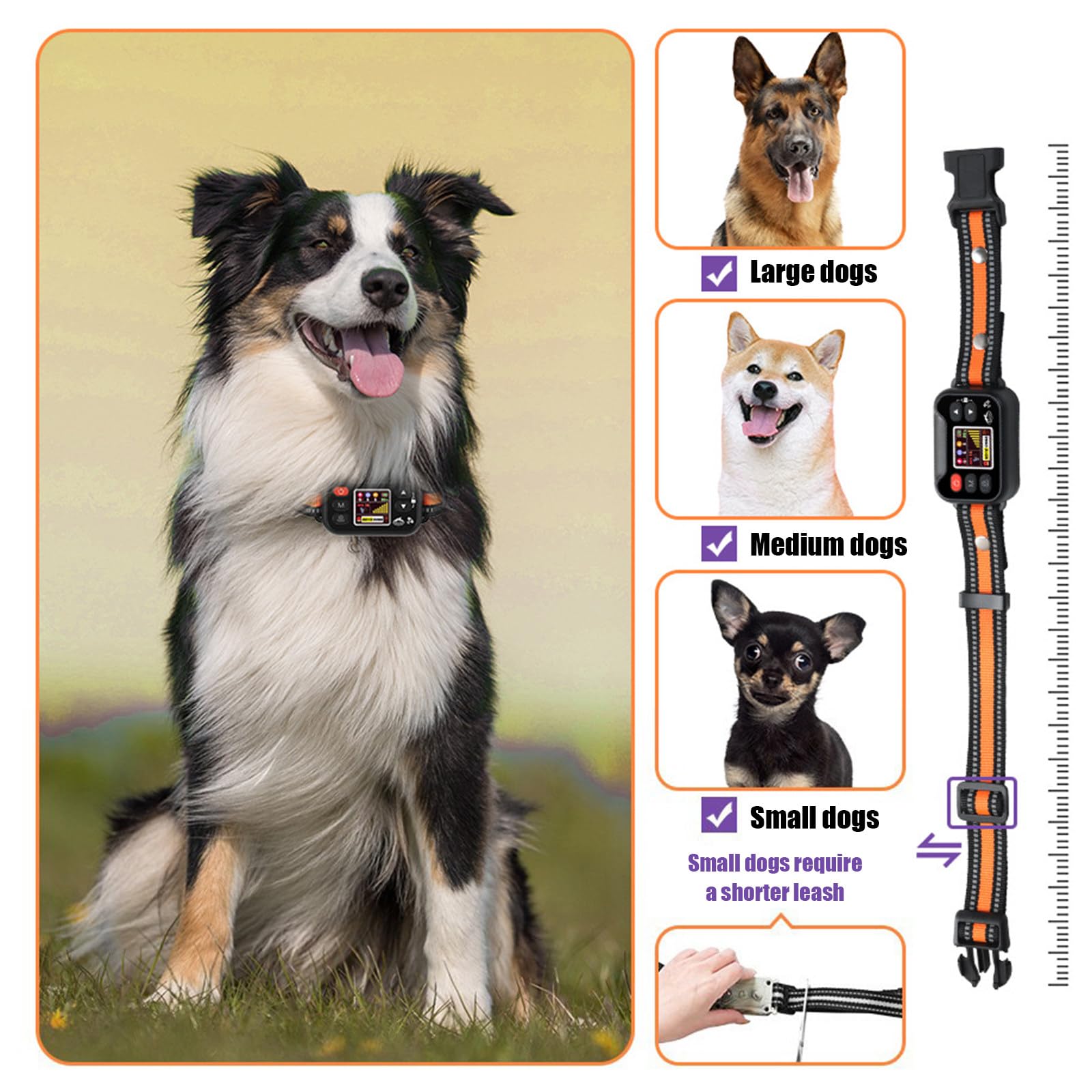 Billg Cloture Electrique pour Chien, 3 Modes Clôture Anti-Fugue, Résistant à L’Eau Collier de Dressage pour Grands Espaces Ouverts et Utilisation en Extérieur, Portée de 20 à 2000 M