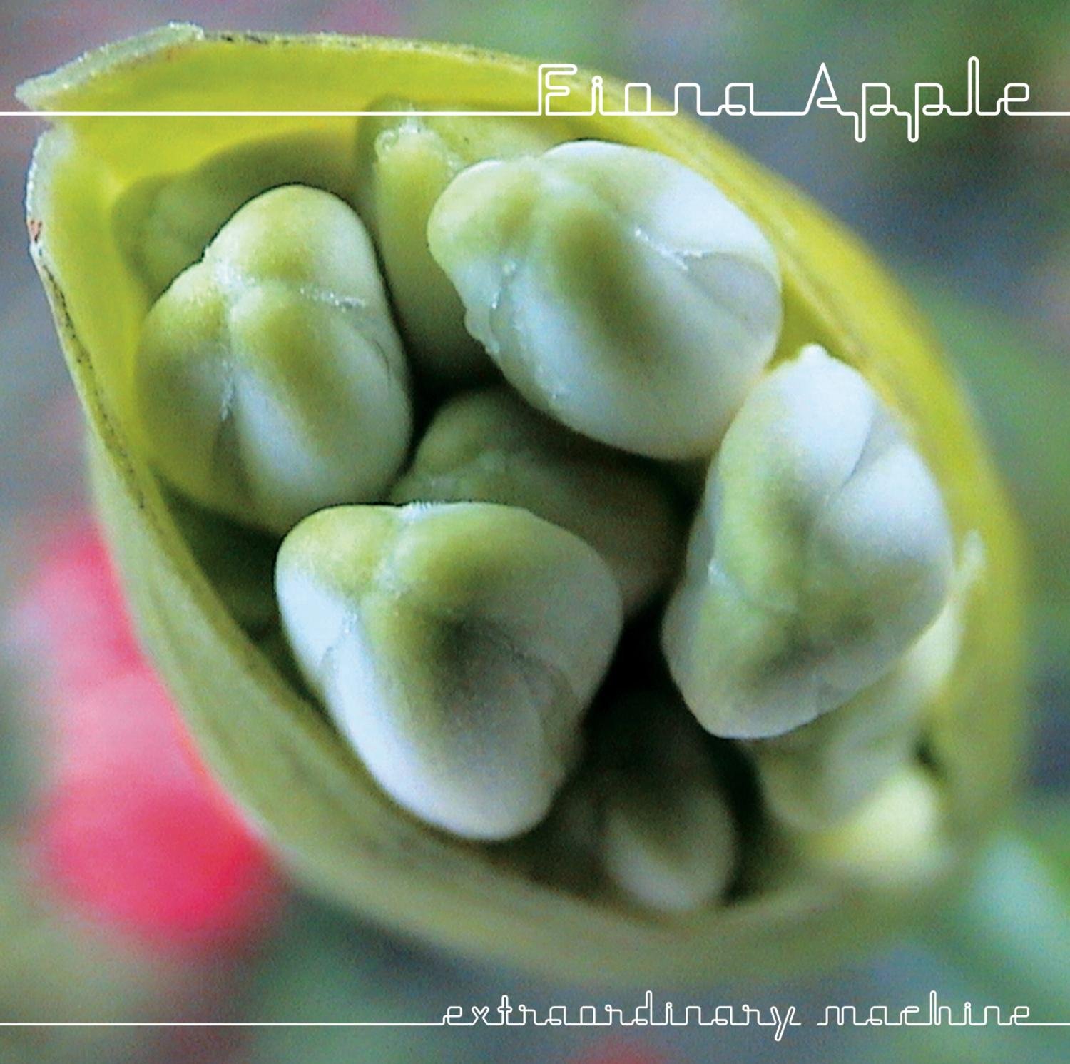 Extraordinary Machine [Audio CD] Apple, Fiona