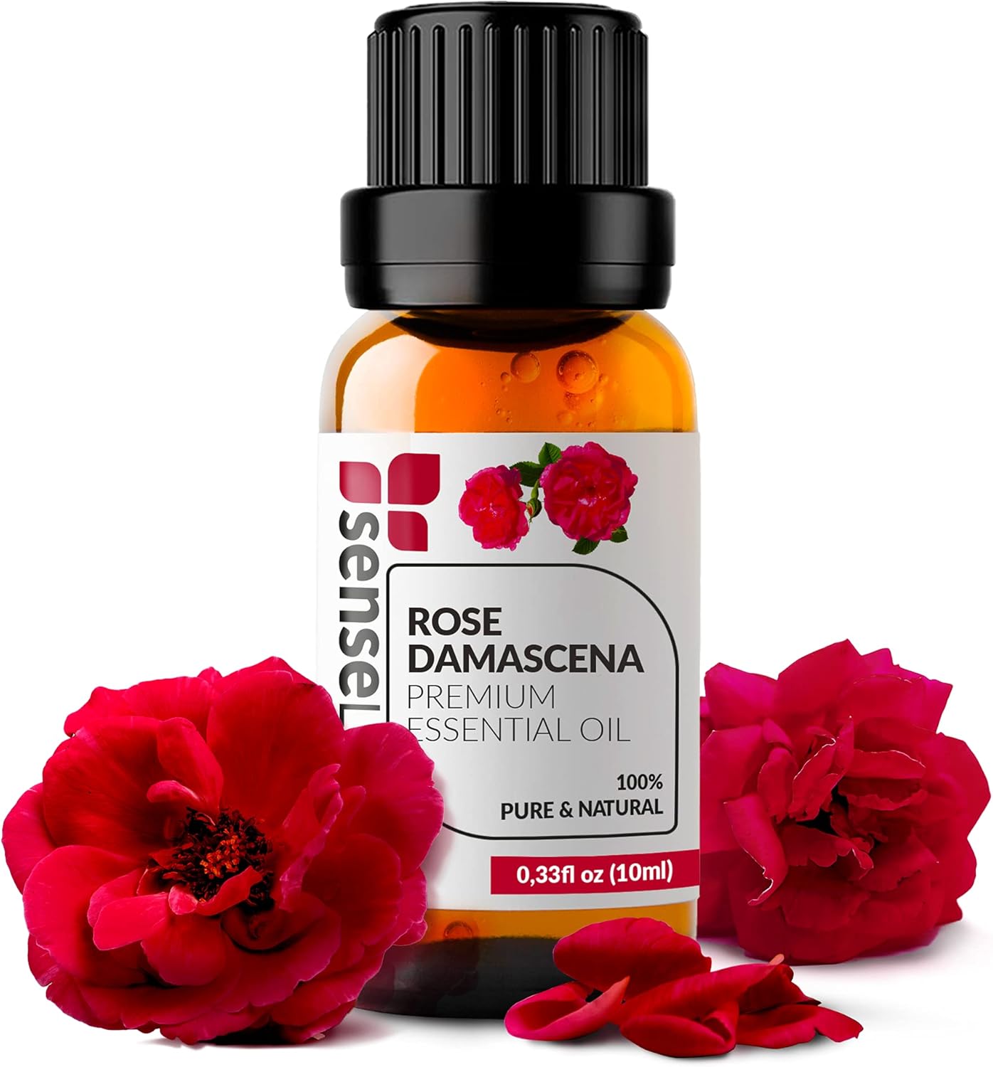 Rose premium. Розы премиум класса фото и описание. 21 роза красная. Rose premium. Rose premium.