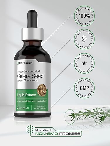 Miniatura 6 de Horbäach Extracto de semilla de apio | Gotas líquidas | Tintura de 2 onzas líquidas | Suplemento de Apio Graveolens | Vegetariano, sin OMG y sin