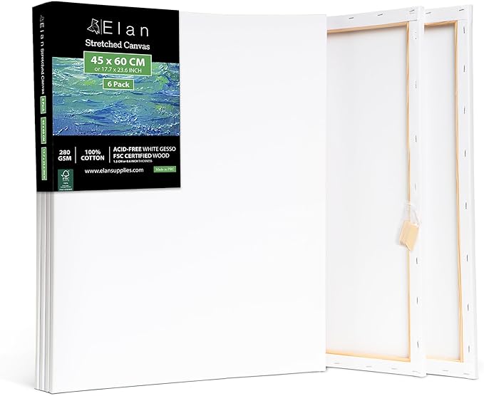 Elan Stretched Canvases 18x24, 6Pack Canvases for Painting