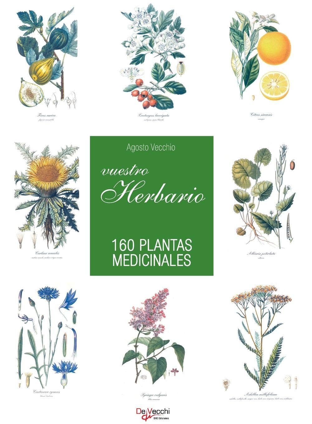Vuestro herbario. 160 plantas medicinales: Cultivar un huerto sano con técnicas tradicionales y ecológicas paso a paso