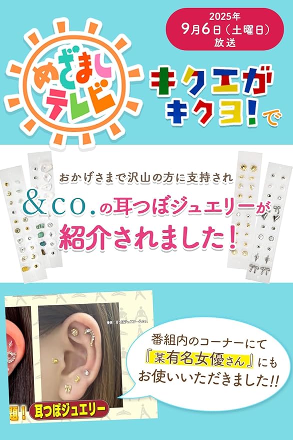 あんこ様　耳つぼジュエリー10枚 あんこ様　耳つぼジュエリー10枚