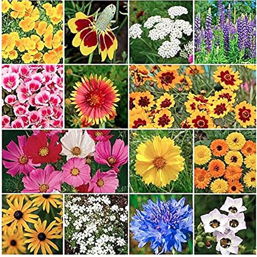 Miniatura 1 de Semillas de flores silvestres que atraen mariposas y colibríes, 0.3 onzas, aproximadamente 5,000 semillas