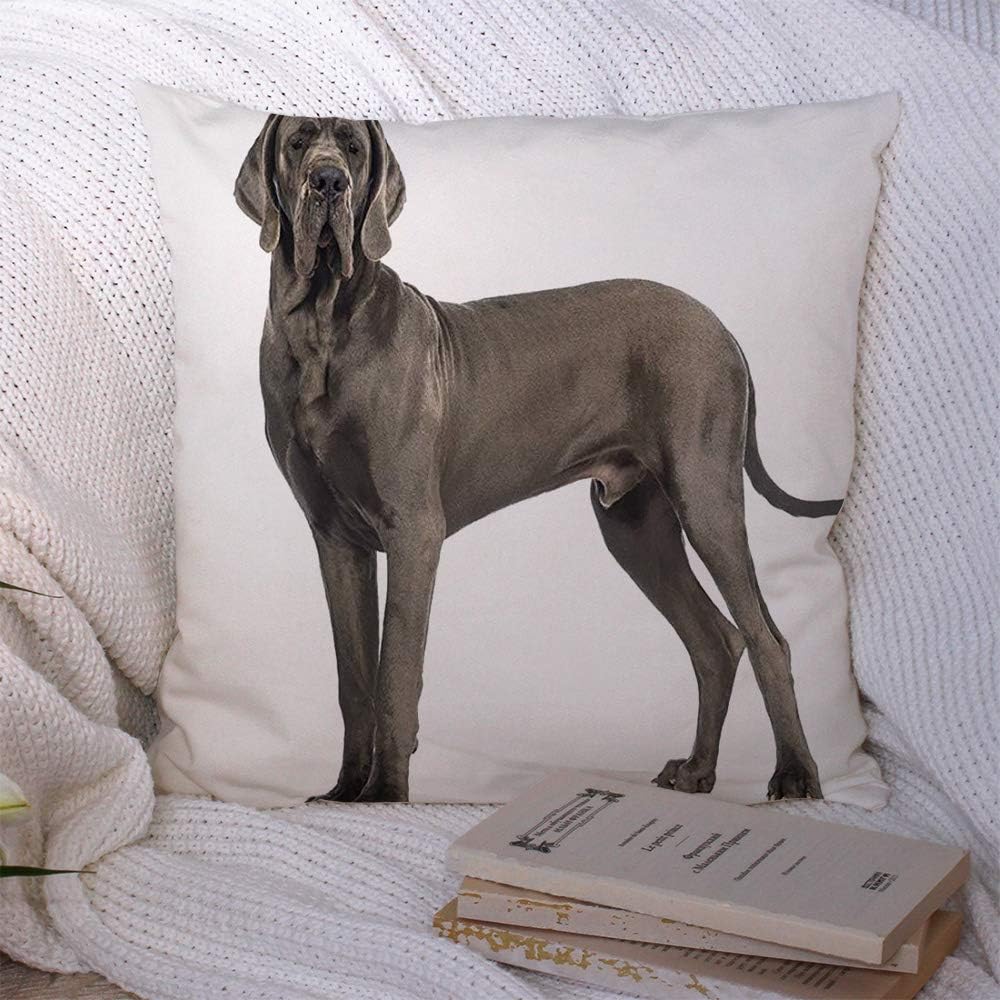 Decorative Throw Pillow Case Standing No Side View Great