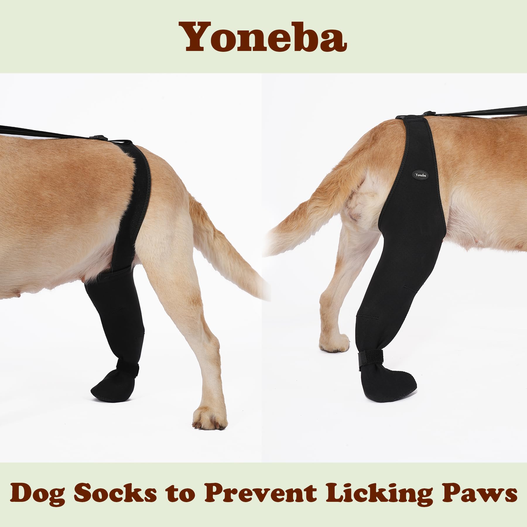 Chaussettes pour chien pour éviter de lécher les pattes - Manchon respirant pour éviter de lécher et de mordre - Chaussettes fermes et sécurisées - Taille réglable - Taille XL - Gauche