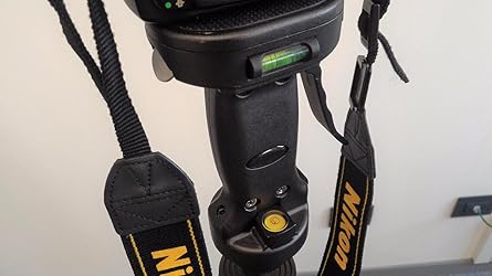 Immagine del cliente