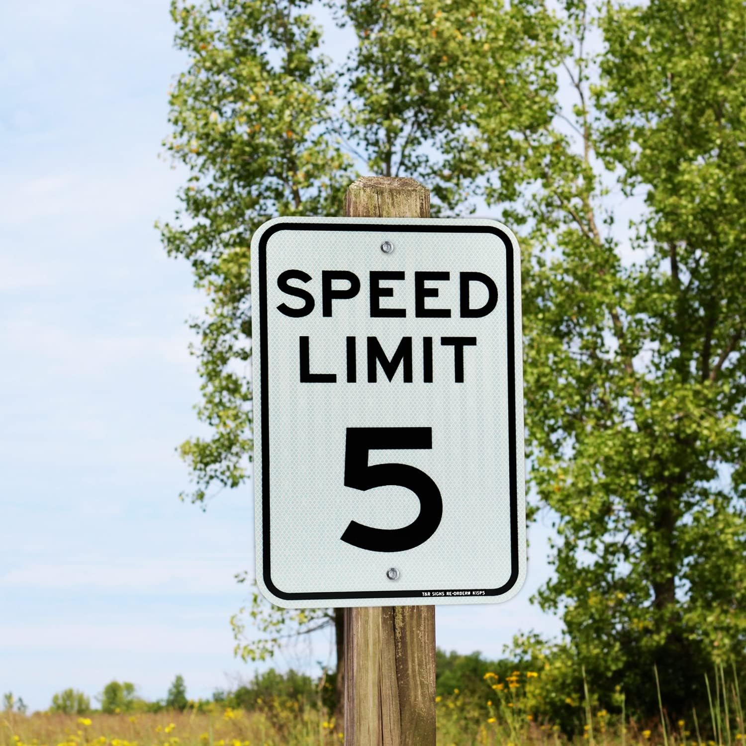 (4 Pack) Speed Limit 5 MPH Sign, Slow Down, Traffic Sign, 18" x 12" Engineer Grade Reflective Sheeting, Rust Free Aluminum, Weather Resistant, Waterproof, Fade Resistant, 2 Pre-drilled Holes