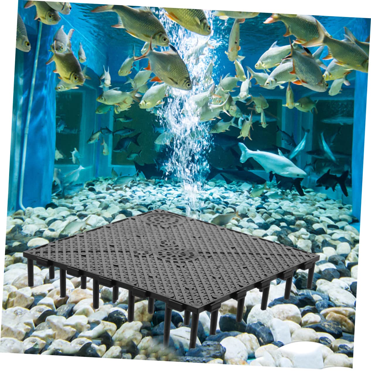HANABASS 5piezas Divisores De Acuario Rejilla Aislante para Criaderos De Peces Placas De Fondo para Acuarios Material Diseño Ventilado y Transpirable De Agua Dulce