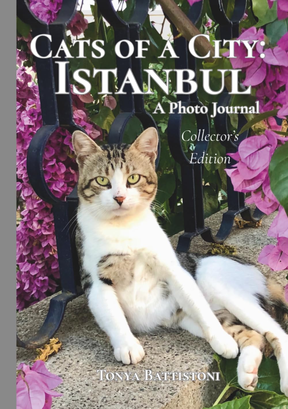 Cats of a City: Istanbul: Collector's Edition