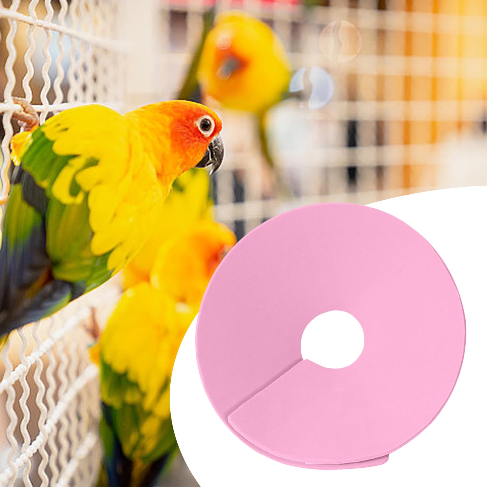 Collier de récupération pour hamster – Collier de protection anti-léchage pour lapin | Collier réglable anti-morsure pour animal de compagnie pour la prévention de la perte de poils des