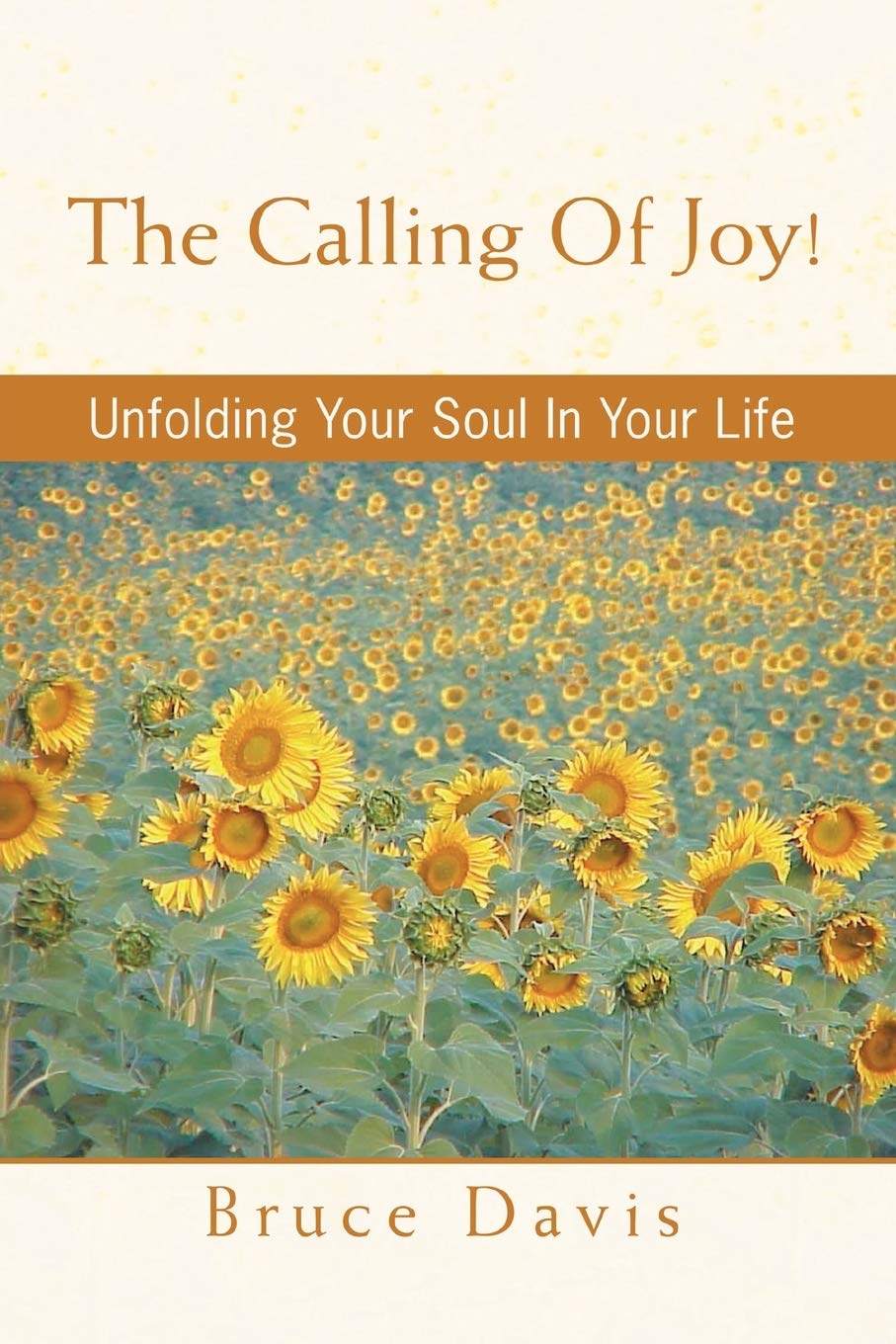 The Calling Of Joy!: Unfolding Your Soul In Your Life