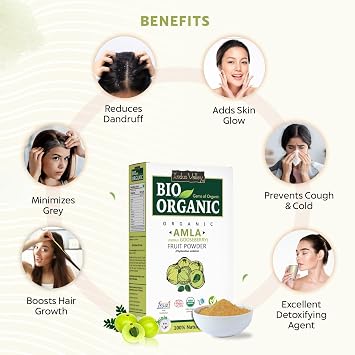 INDUS VALLEY Bio Organic 100% Natural Amla Indian Gooseberry Fruit Powder for Hair Growth, Skin, Indian Gooseberry | Non-GMO | Non-Irradiated | No-Preservatives, 0.22 oz