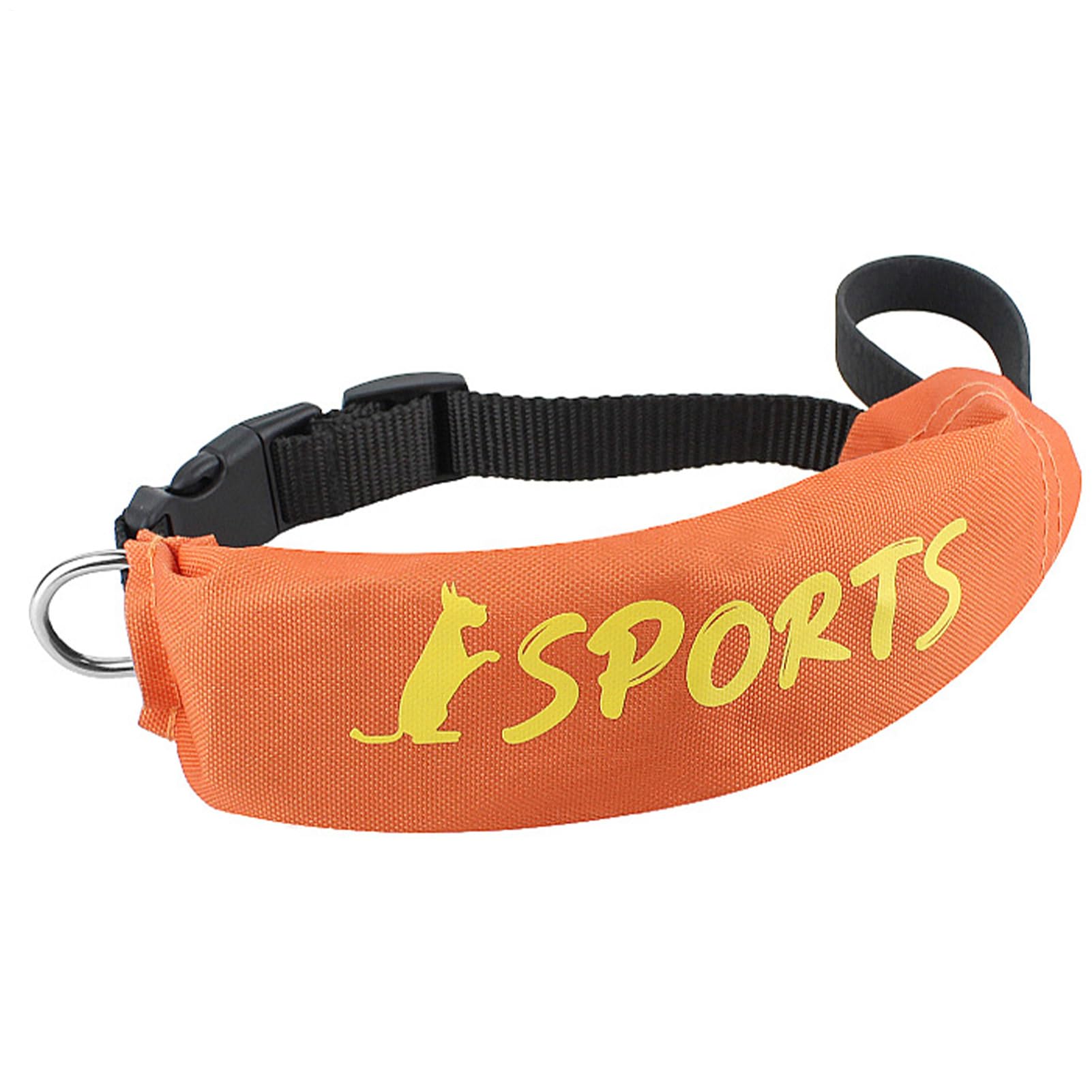 Collier pour chien avec laisses et harnais de dressage anti-mastication
