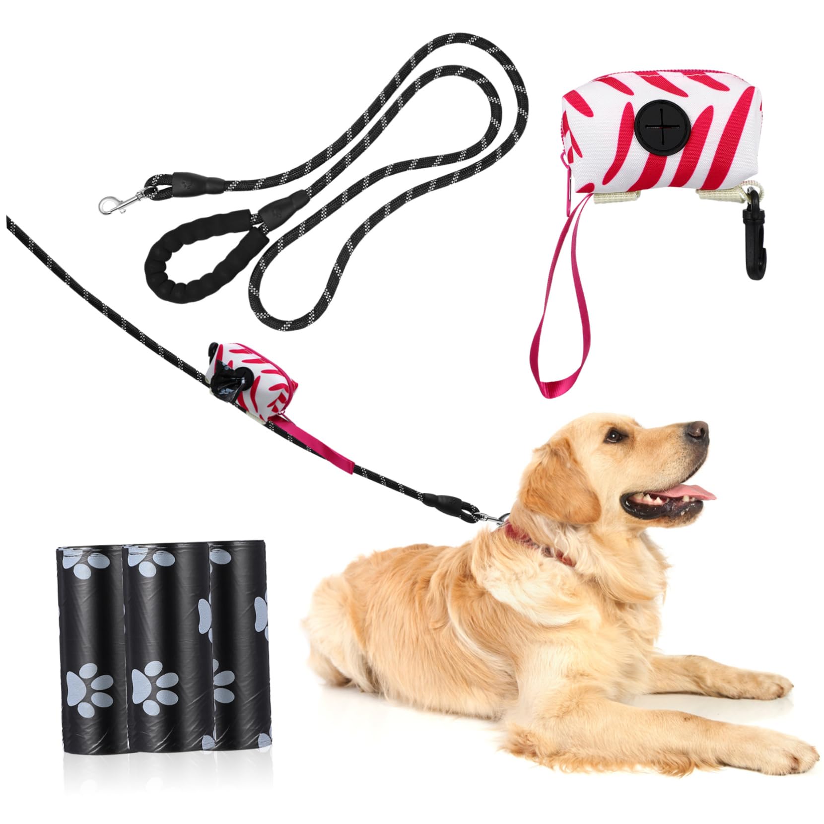 Laisse chien corde solide pour stopper les brûlures aux mains en balade