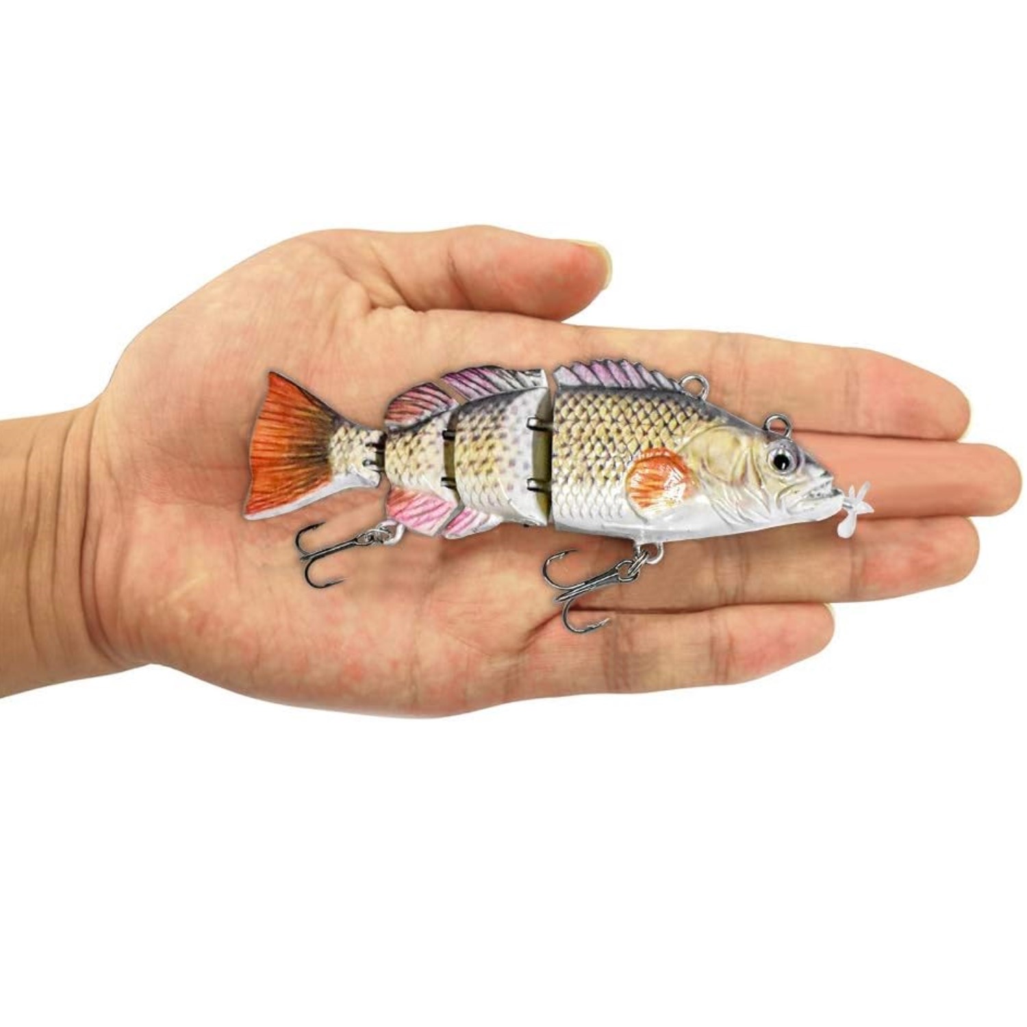 Amazon.com : Robotic Swimming Lure 3.9 Electronic Lures USB Rechargeable LED Light 4 Segment Multi Jointed Swimbait Fishing Tackle for Bass Trout Pike (Common Shad) : Sports & Outdoors Amazon.com : Robotic Swimming Lure 3.9 Electronic Lures USB Rechargeable LED Light 4 Segment Multi Jointed Swimbait Fishing Tackle for Bass Trout Pike (Common Shad) : Sports & Outdoors