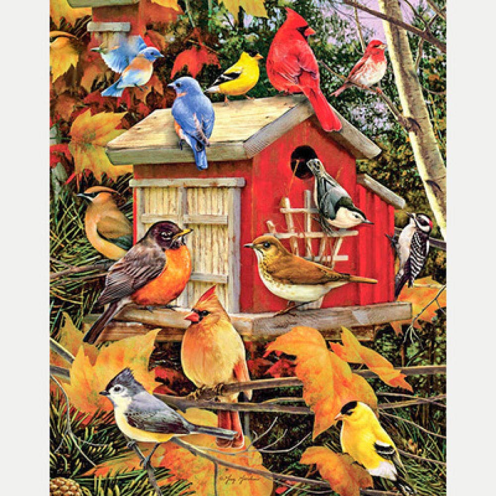 Peinture diamant 5D oiseaux nichoir en bois un coffret créatif à offrir aux passionnés de nature