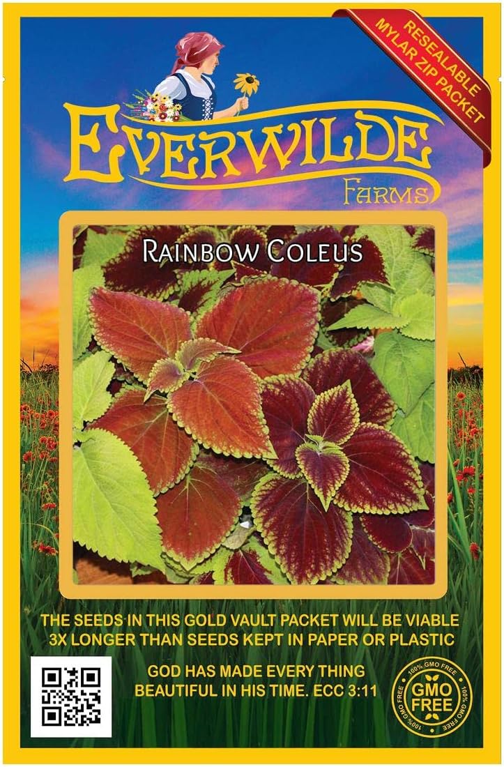 Everwilde Farms - 1/4 Lb Coleus Rainbow Mix Wildflower Seeds - Gold Vault
