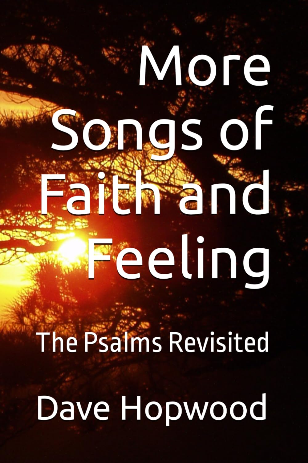 More Songs of Faith and Feeling: The Psalms Revisited