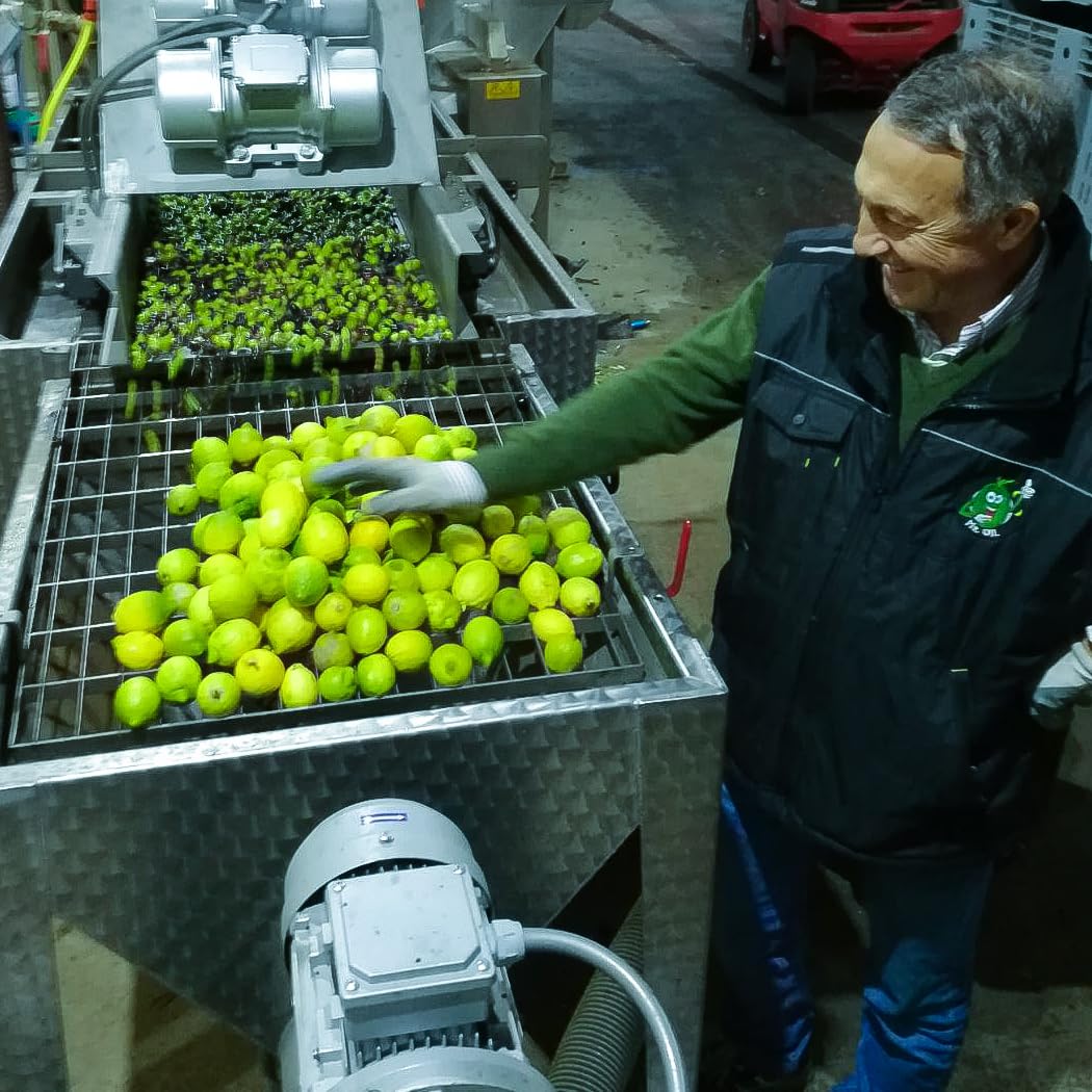 Galbasa - Organic Lemon Oil from Sicily, Italy - First Cold Pressed Extra Virgin Olive Oil and Fresh Lemons - Polyphenol Rich, No Pesticides | 16.9 fl oz - Image 5