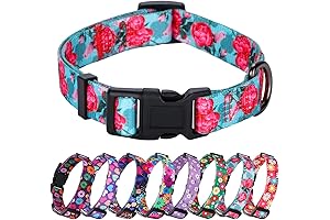 Rhea Rose Turquoise Collar for Summer Fun