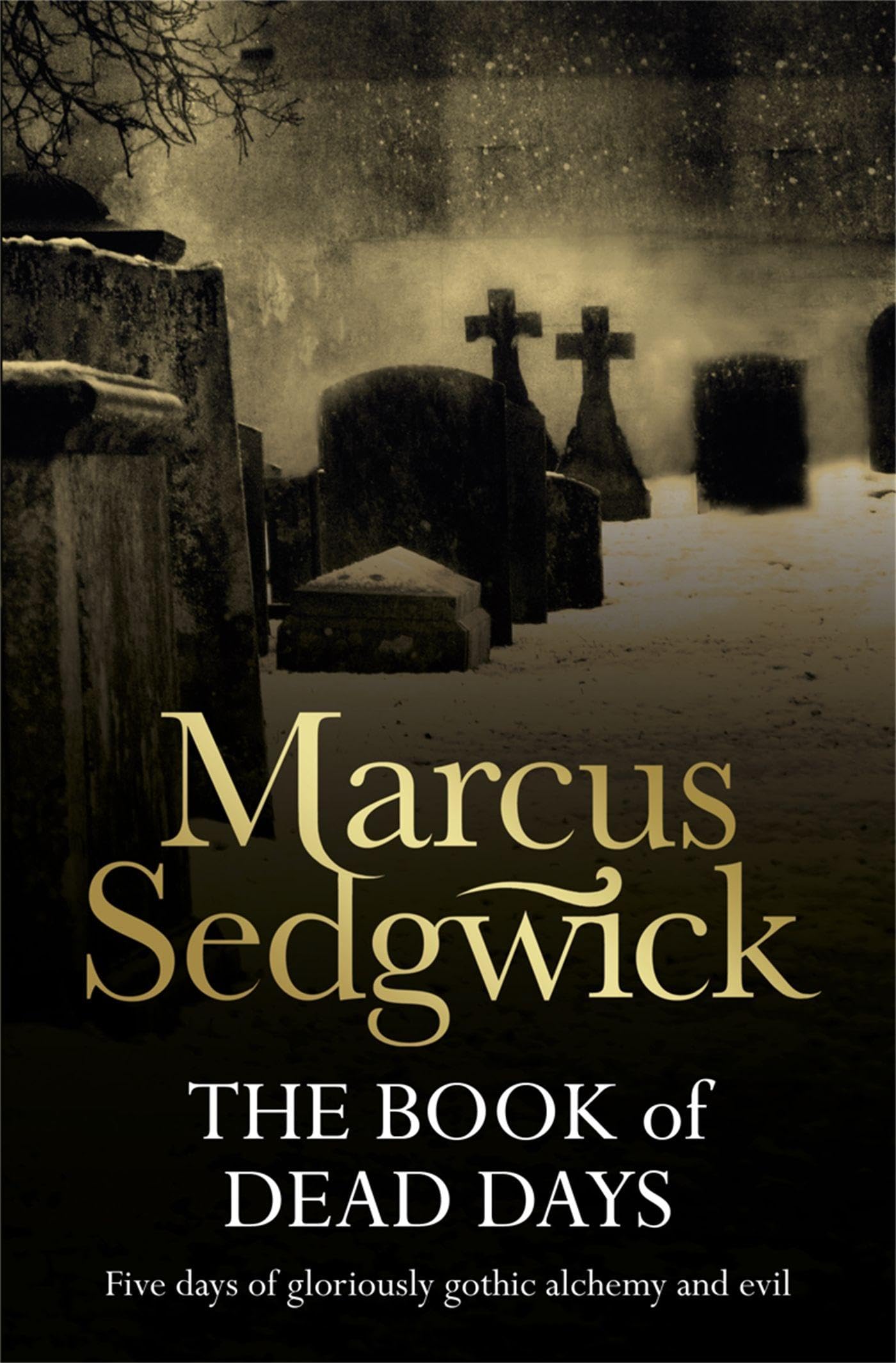 The Book of Dead Days,Marcus Sedgwick- 9781842552674