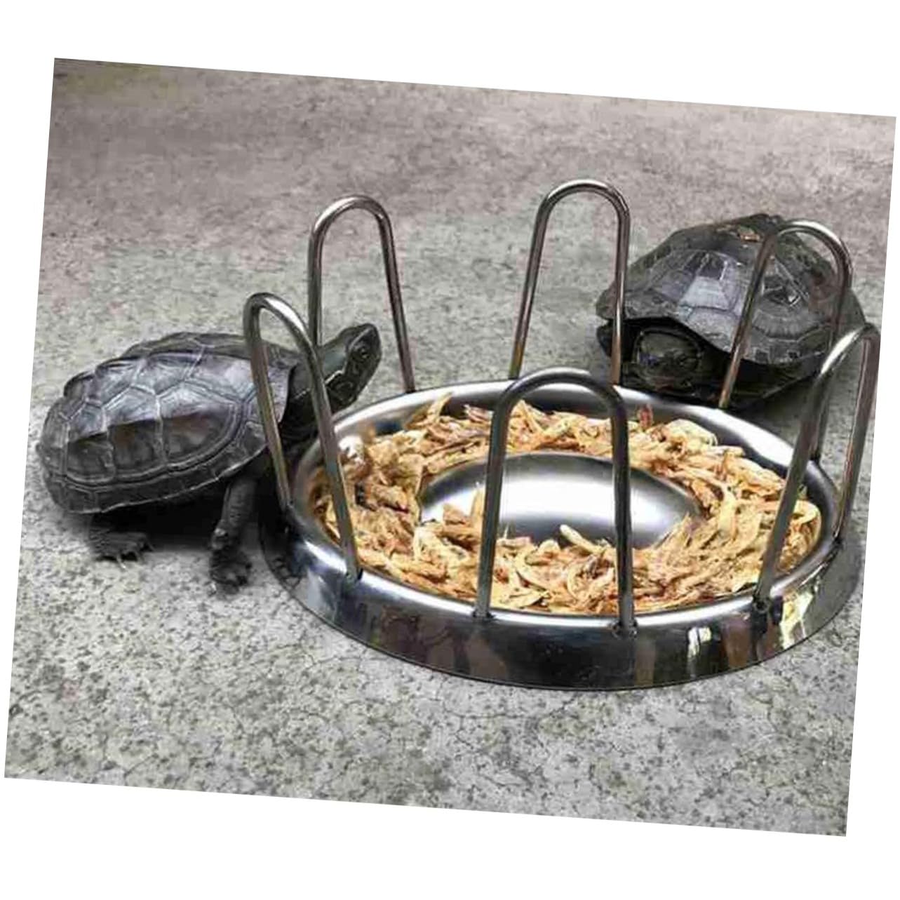 Ciotola per Cibo per Tartarughe in Acciaio Inox Mangiatoia per Rettili Ciotola per Tartarughe Forma Rotonda Accessori per Animali Domestici
